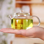 Petite Théière en Verre Borosilicate dans la paume d'une main 