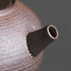 Théière Ancienne Artisanal Kyusu vue sur le bec 