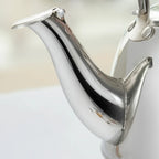 Théière Induction en inox avec Infuseur  vue sur le bec 