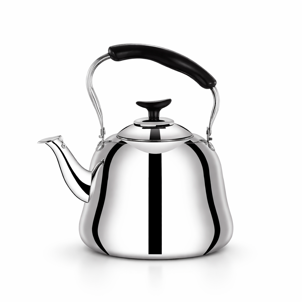 Théière Induction en inox avec Infuseur  sur fond blanc 