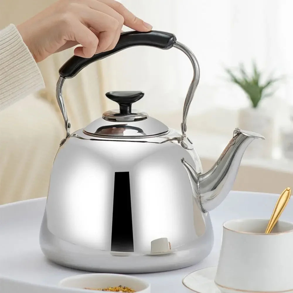 Théière Induction en inox avec Infuseur  main qui tient l'anse 