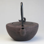 Théière en Fonte Japonaise Effet Traditionnel vue sur le bec verseur 