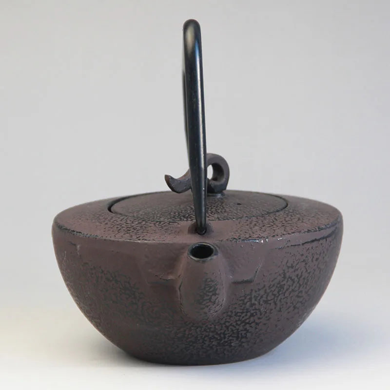 Théière en Fonte Japonaise Effet Traditionnel vue sur le bec verseur 